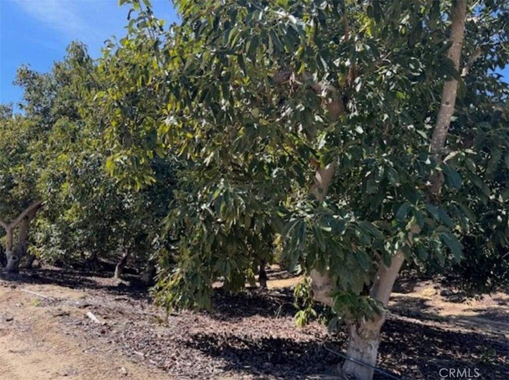 0 Monte Rancho, Temecula, CA 92590
