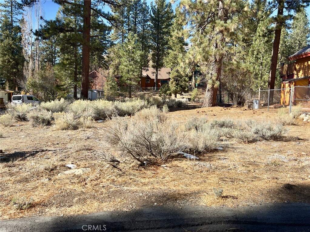 1 Canyon Road, Fawnskin, CA 92333