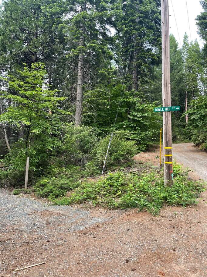 0 Alta School Street, Alta, CA 95701 MLS 223053958 Christie's International Real Estate Sereno