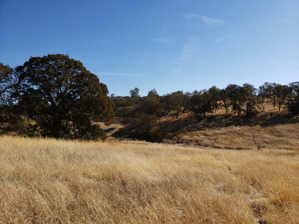 4647 La Grange, La Grange, CA 95329 MLS 223108026 Christie's