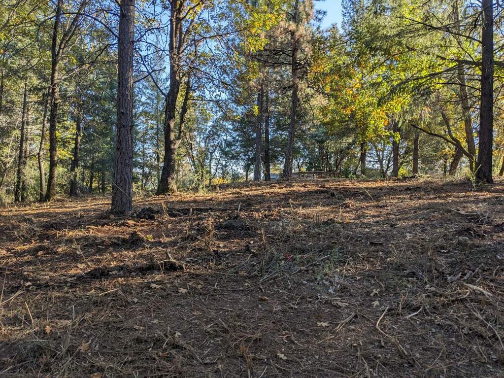 0 Rigby Lane, Applegate, CA 95703
