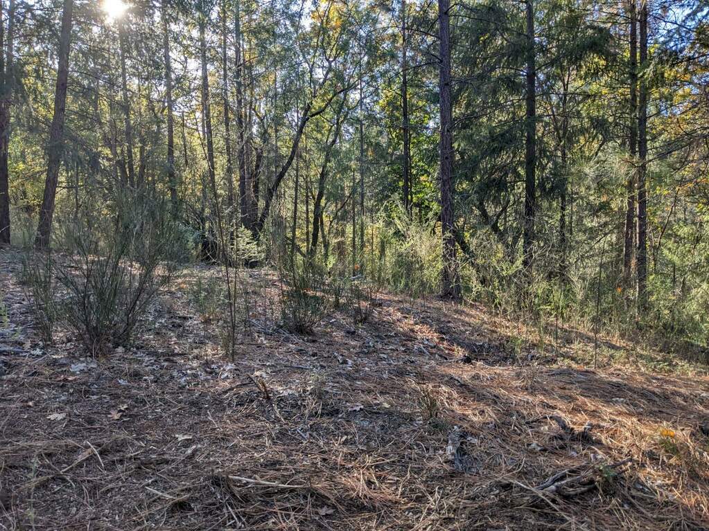 0 Rigby Lane, Applegate, CA 95703