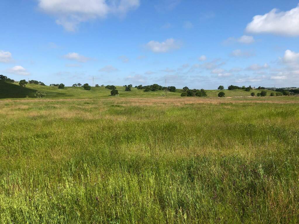 1023210470 Gregory Road, Jenny Lind, CA 95252 MLS 224001323