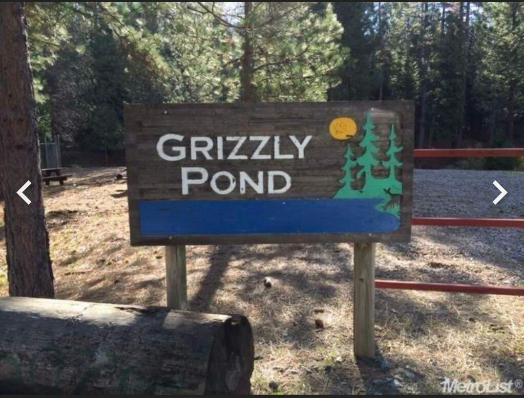 5055 Parkside Drive, Grizzly Flats, CA 95636 MLS 224014780