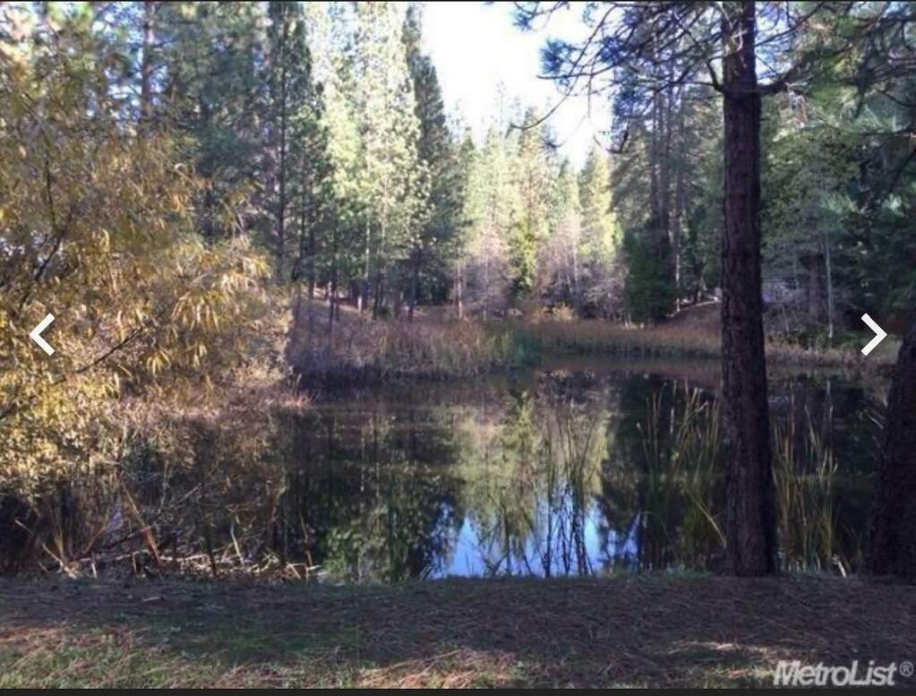5055 Parkside Drive, Grizzly Flats, CA 95636 MLS 224014780