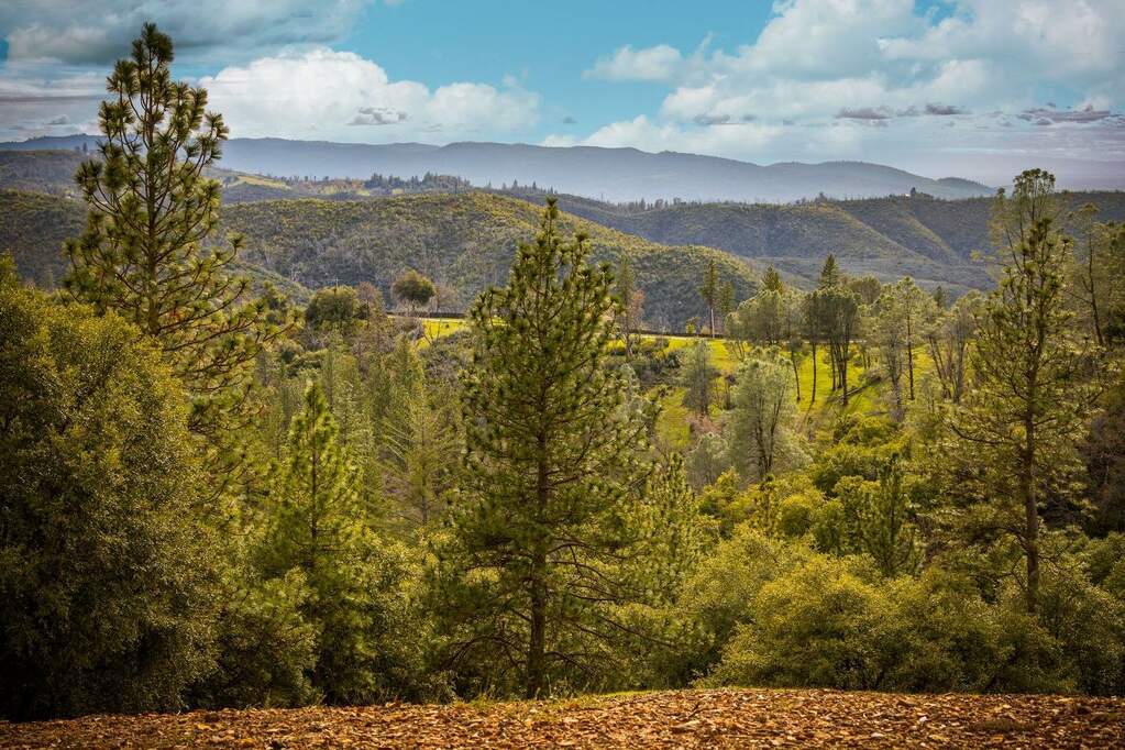 15660 Jesus Maria Road, Mokelumne Hill, CA 95245