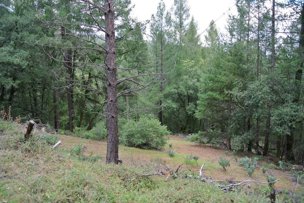 64-Lot Grandview Drive, Colfax, CA 95713