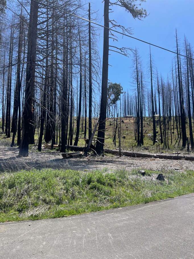 5106 Parkside Drive, Grizzly Flats, CA 95636 MLS 224046416