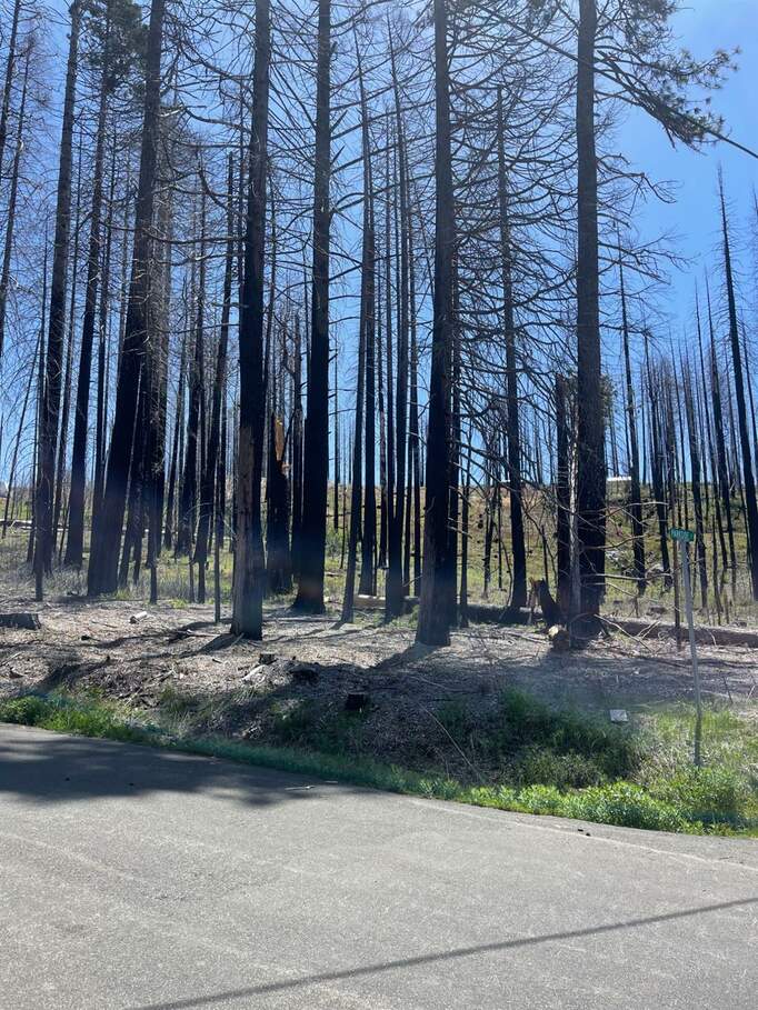 5106 Parkside Drive, Grizzly Flats, CA 95636 MLS 224046416