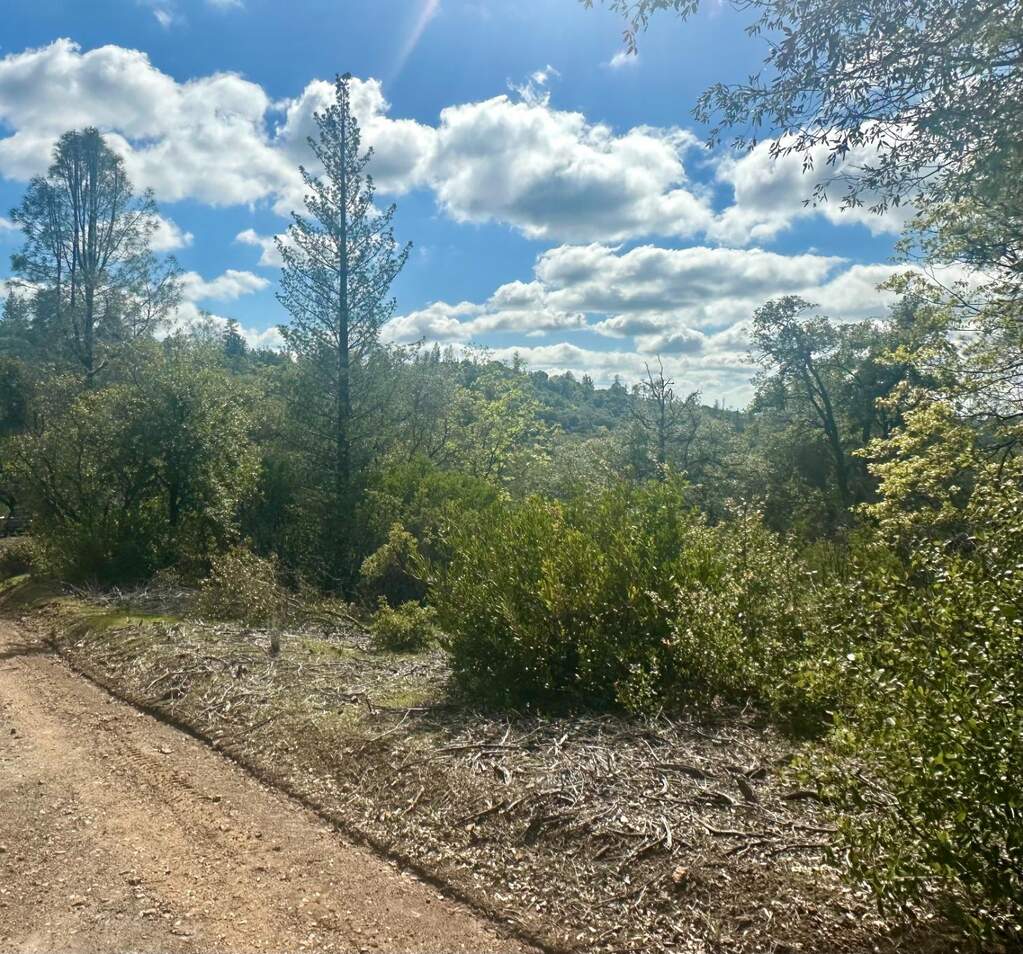 0 Par 26c-4, Sutter Creek, CA 95685