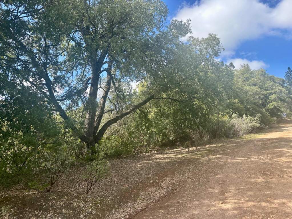 0 Par 26c-4, Sutter Creek, CA 95685