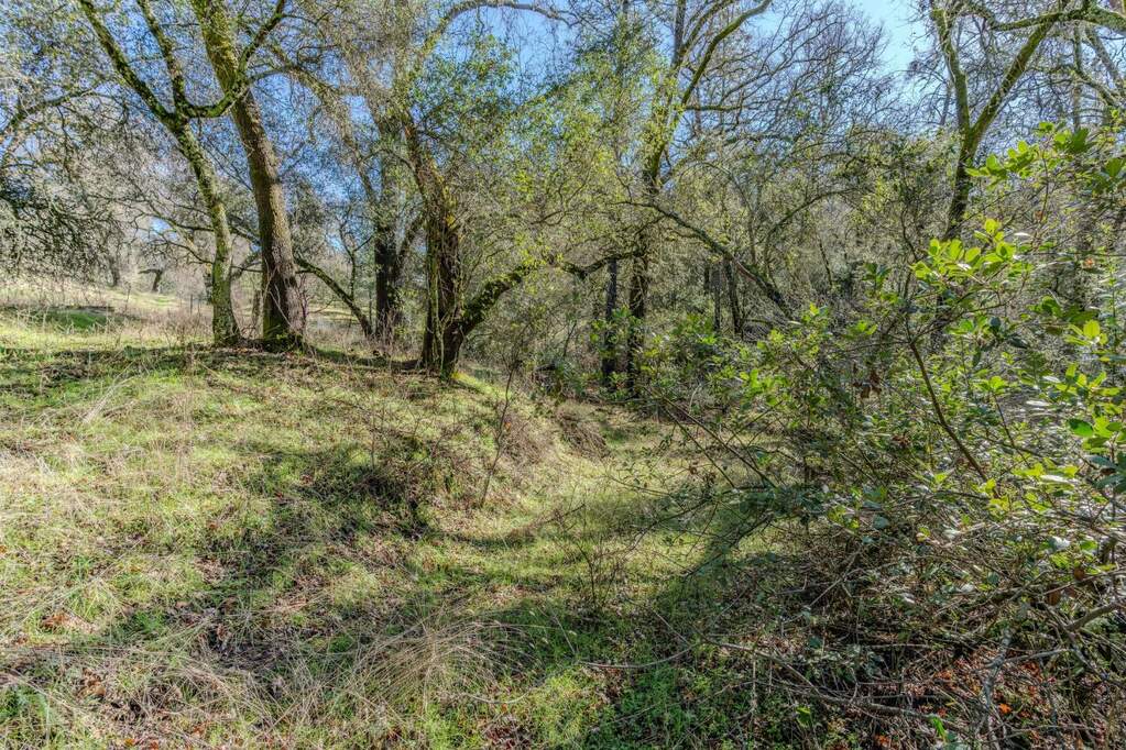 0 Quartz Mountain Road, Fiddletown, CA 95629