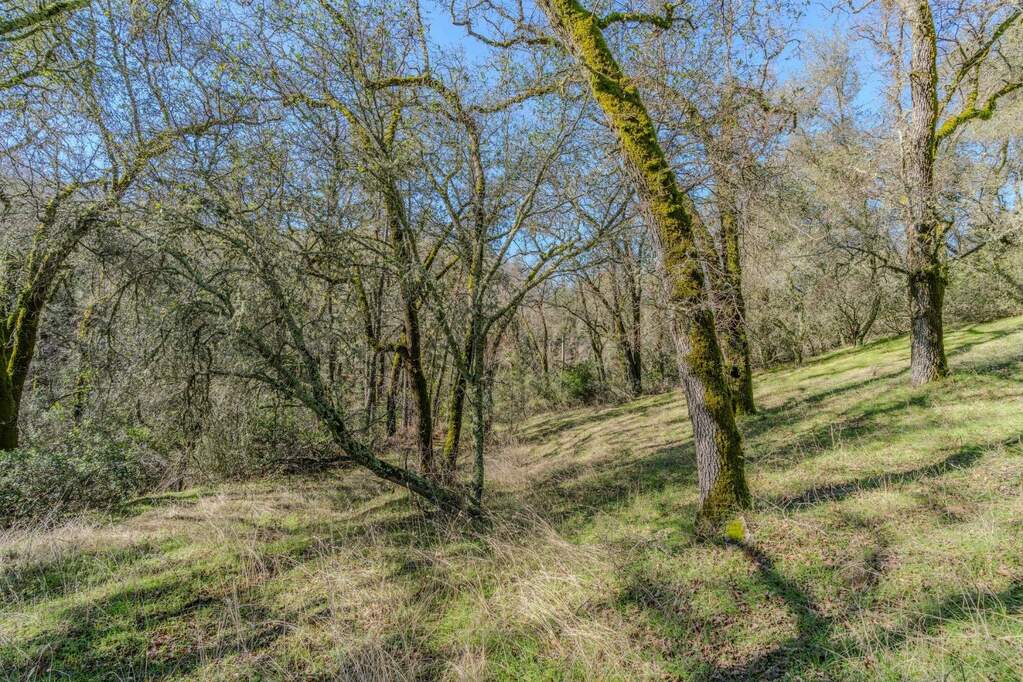 0 Quartz Mountain Road, Fiddletown, CA 95629