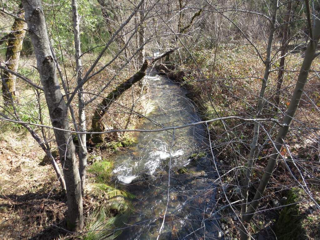 Slaughter Ravine that runs through the property. at 0 N. Canyon Way / Iowa Hill Rd, Colfax, CA 95713