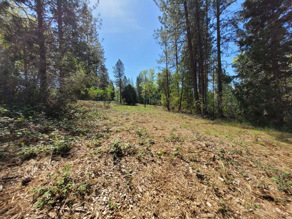 13560 Hopeful Hill Road, Nevada City, CA 95959