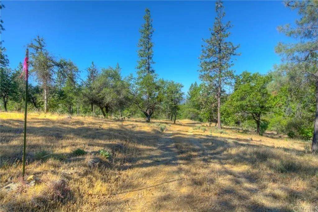 0 Double Eagle Way, Brownsville, CA 95919