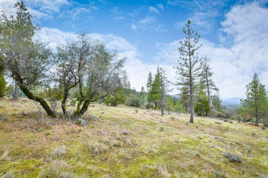 0 Double Eagle Way, Brownsville, CA 95919