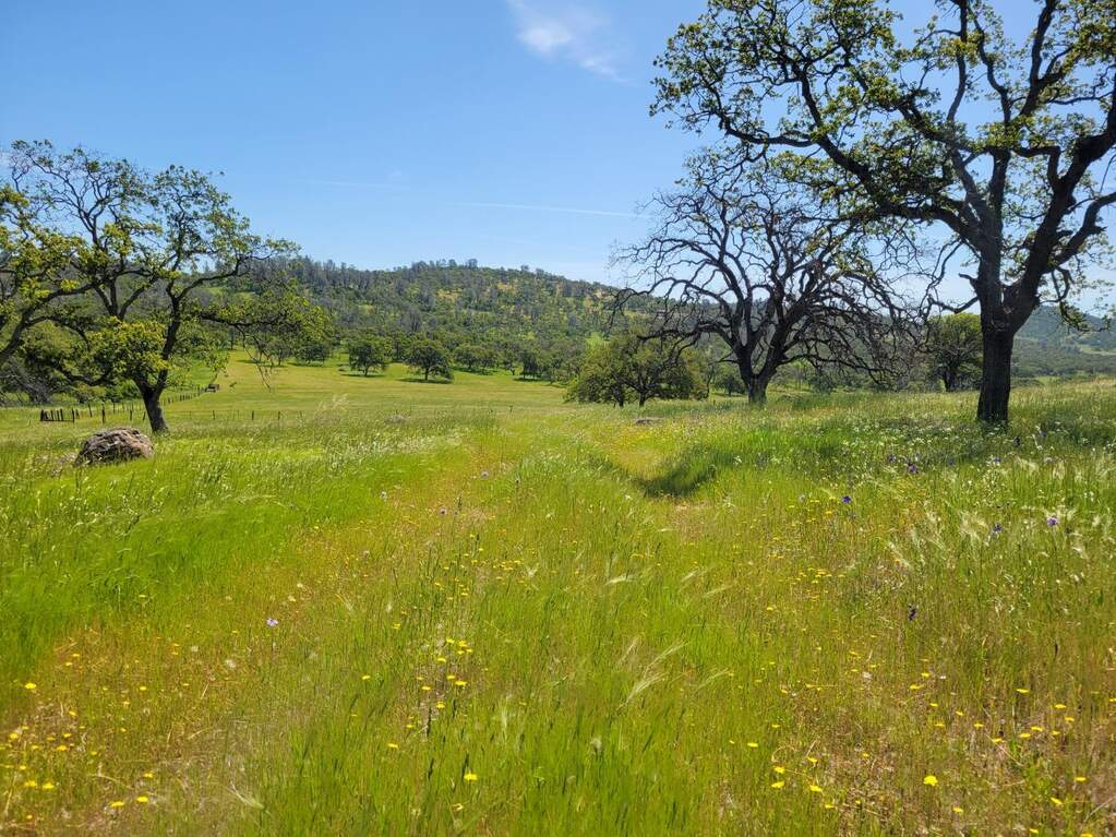 0 Hammonton Bluff Parcel 8, Smartsville, CA 95977