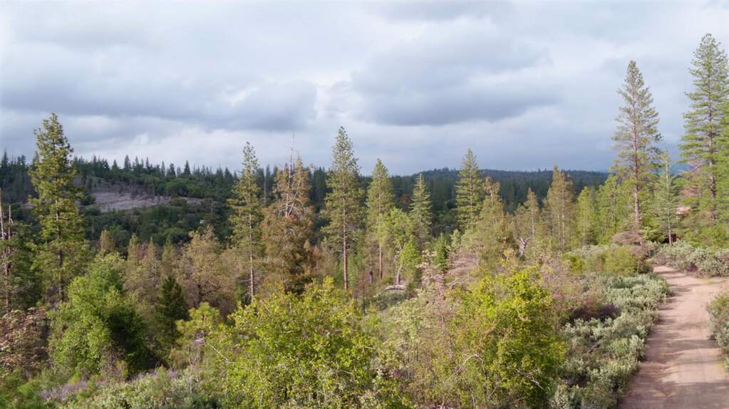 6363 Dogtown Road, Coulterville, CA 95311