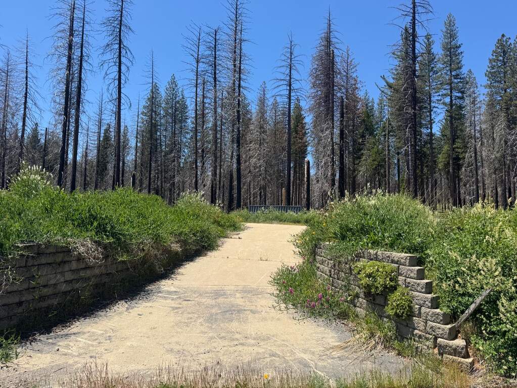 5309 Golden Aspen Drive, Grizzly Flats, CA 95636