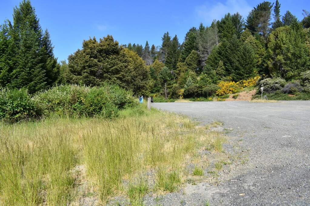 0 Briceland Road, Whitethorn, CA 95589