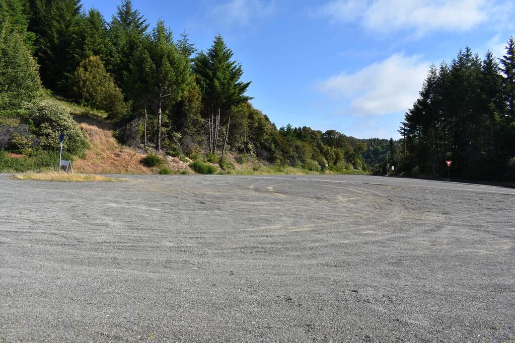 0 Briceland Road, Whitethorn, CA 95589