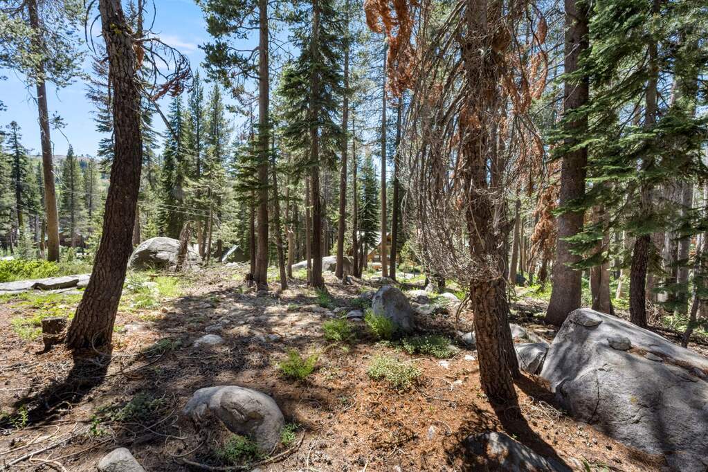 21752 Lotta Crabtree Terrace, Soda Springs, CA 95728