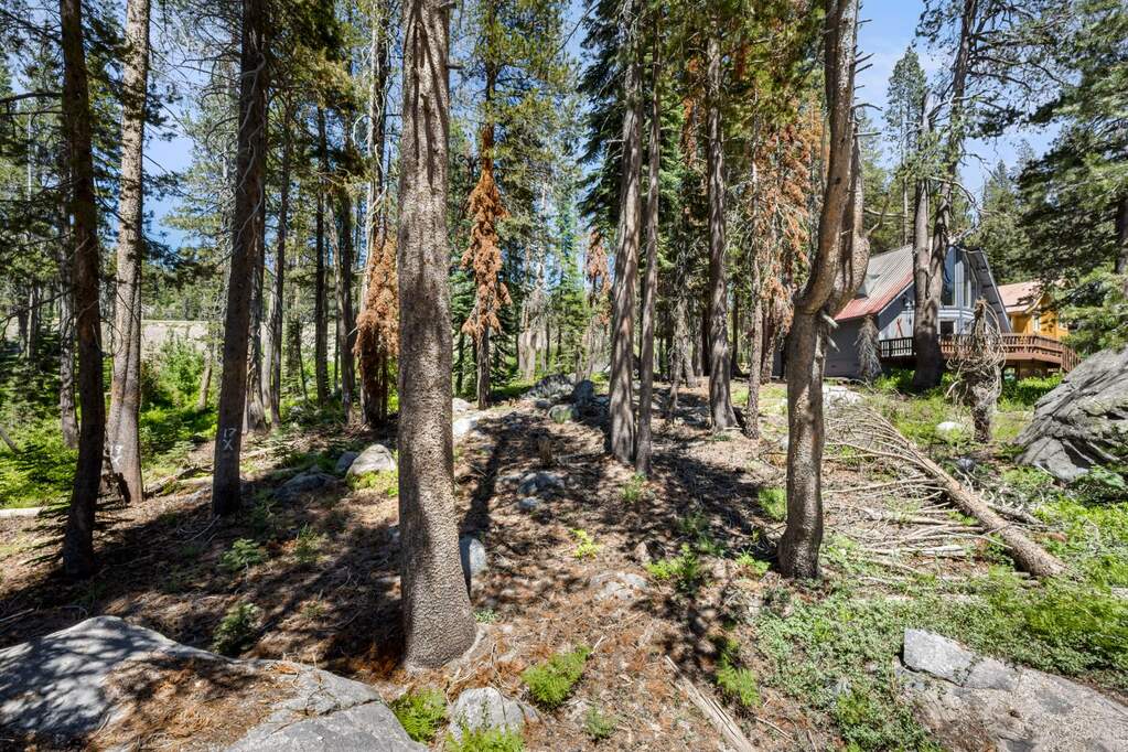 21752 Lotta Crabtree Terrace, Soda Springs, CA 95728