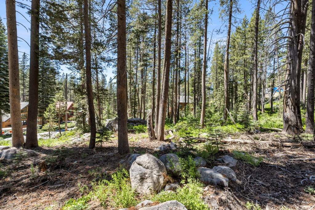21768 Lotta Crabtree Terrace, Soda Springs, CA 95728