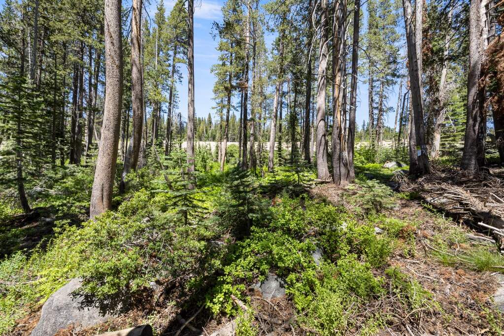 21768 Lotta Crabtree Terrace, Soda Springs, CA 95728