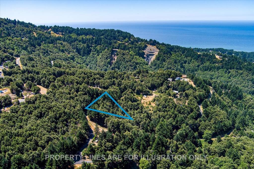 91 Walker Way, Whitethorn, CA 95589