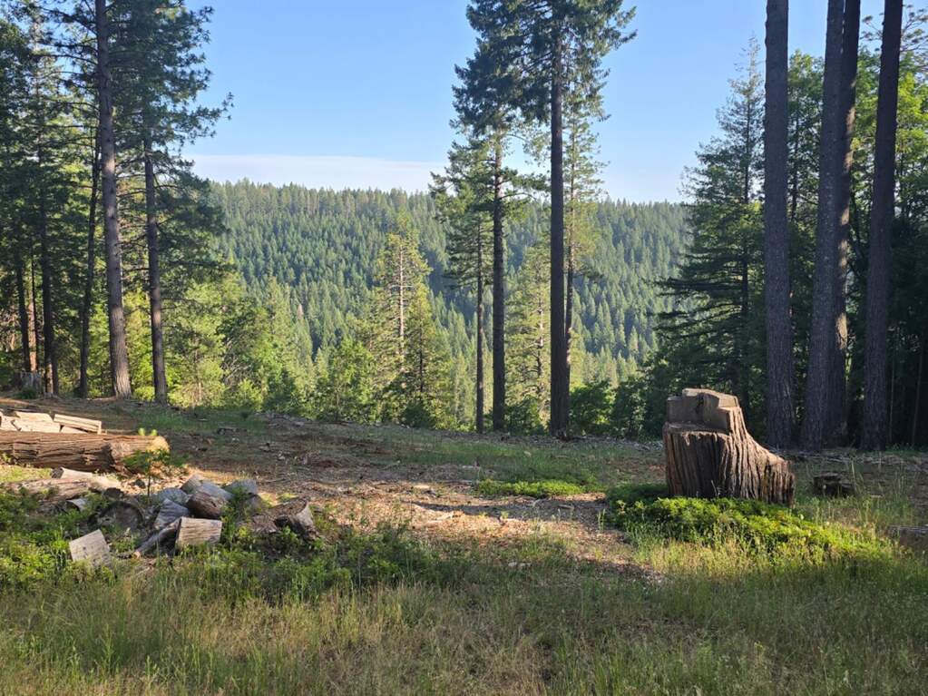 13907 Lightning Tree Road, Nevada City, CA 95959