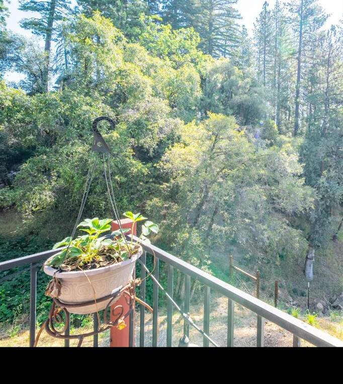 Privacy and treetop view from the back deck. (Check out the front deck views too!) at 111 W Oak Hill Drive, Colfax, CA 95713