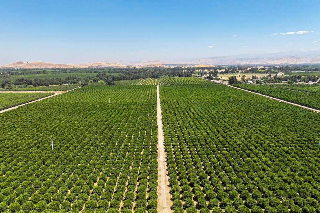 0 Ca 198, Exeter, CA 93221