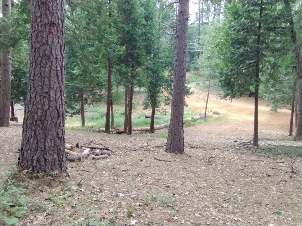 14629 Rollins Park Drive, Grass Valley, CA 95945