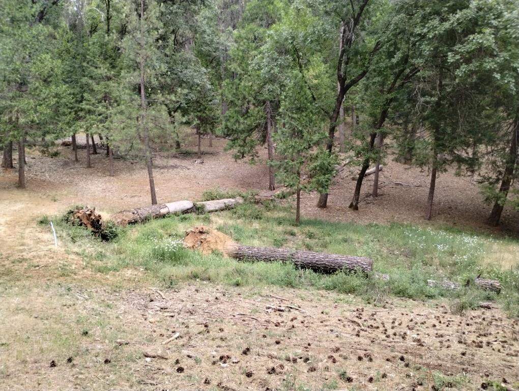 14629 Rollins Park Drive, Grass Valley, CA 95945