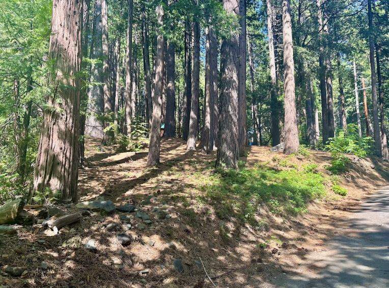 68 Por Lot N Sd Main Street, Sierra City, CA 96125