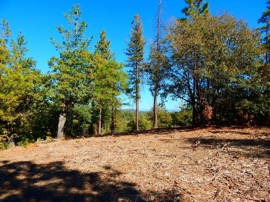 5702-A Cuneo Road, Coulterville, CA 95311