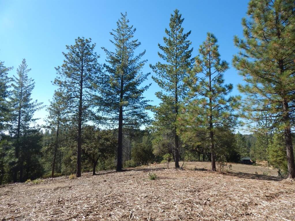 5702-A Cuneo Road, Coulterville, CA 95311