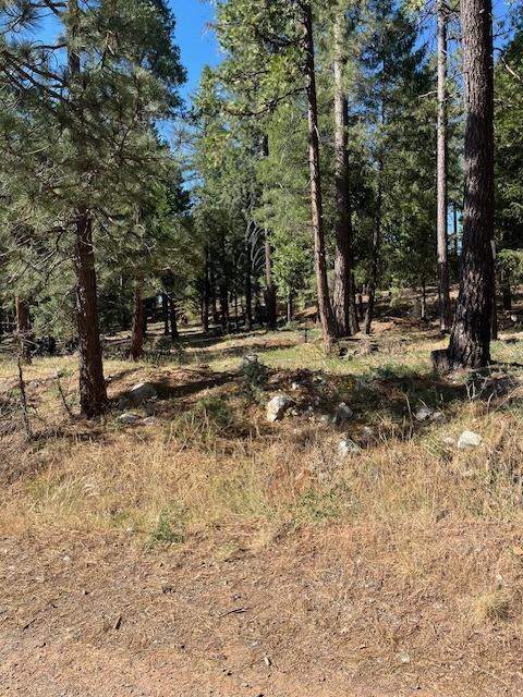 5053 Finning Mill Road, Foresthill, CA 95631