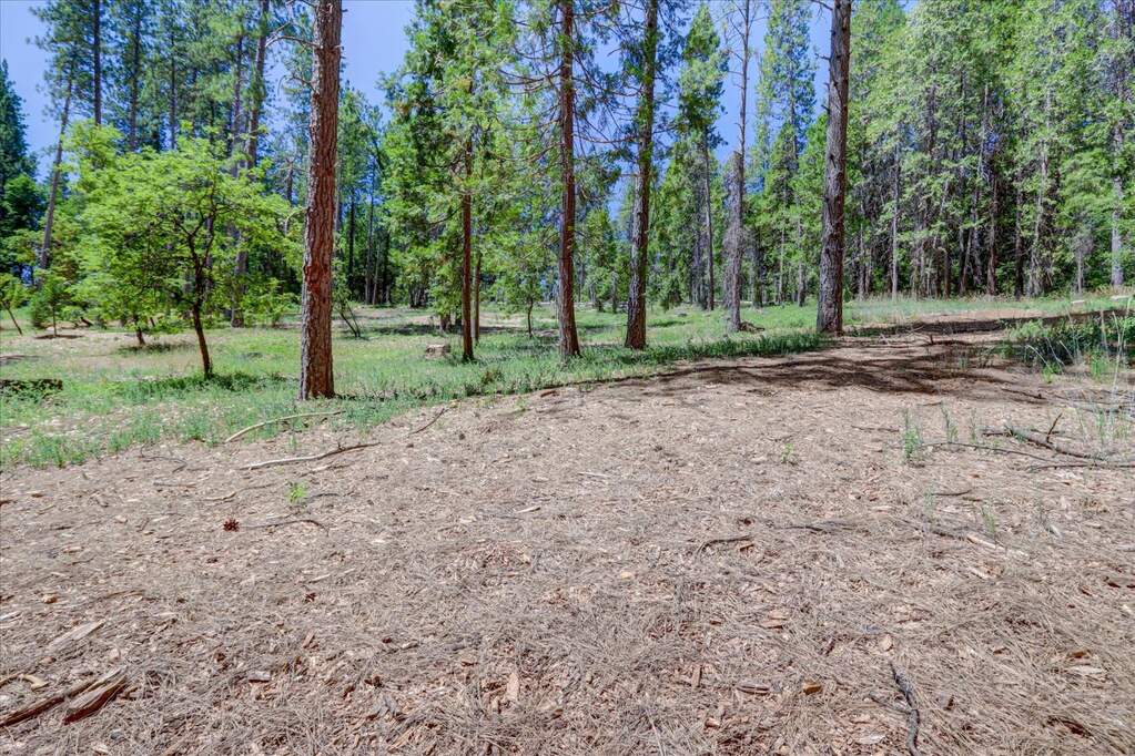 262 W Olympia Drive, Grass Valley, CA 95945
