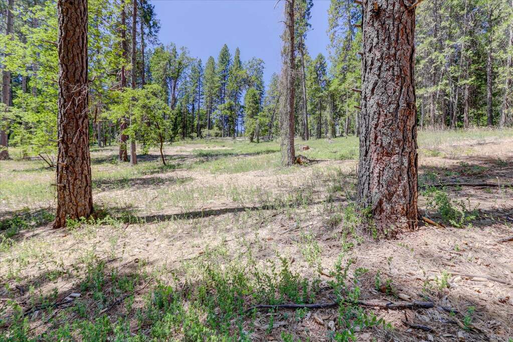 262 W Olympia Drive, Grass Valley, CA 95945