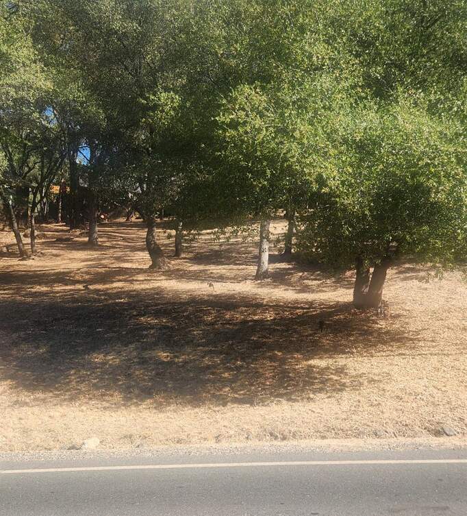 13033 Lake Wildwood Drive, Penn Valley, CA 95946