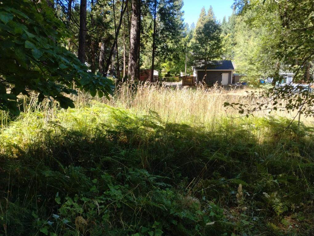 506 Silva Avenue, Nevada City, CA 95959