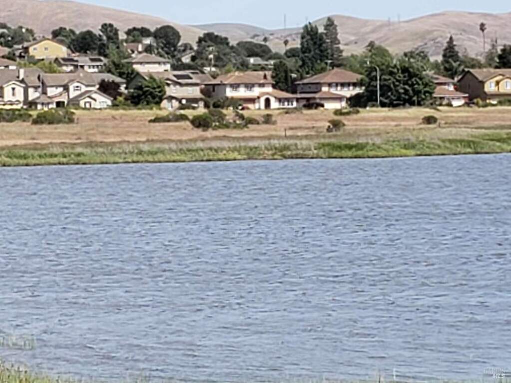 528 Wetlands Edge Road, American Canyon, CA 94503
