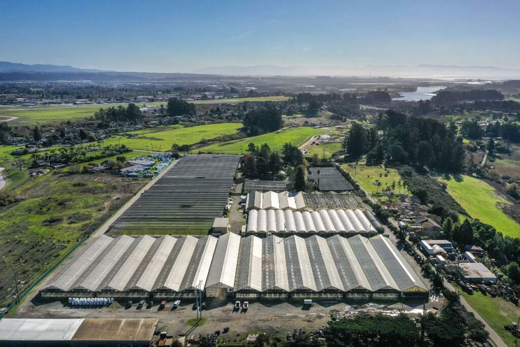 650 Buena Vista Drive, Watsonville, CA 95076 MLS 81950234 Christie