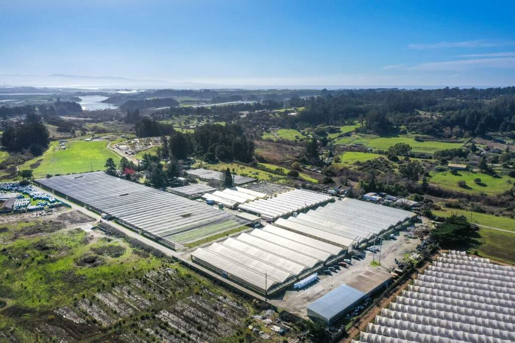 650 Buena Vista Drive, Watsonville, CA 95076 MLS 81950234 Christie