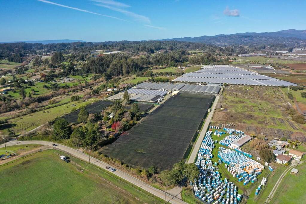 650 Buena Vista Drive, Watsonville, CA 95076 MLS 81950234 Christie's International Real