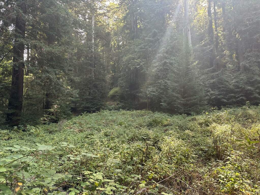 0 Eureka Canyon Road, Corralitos, CA 95076