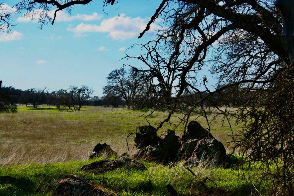 2463 Old Highway, Catheys Valley, CA 95306 MLS 81958004 Christie's